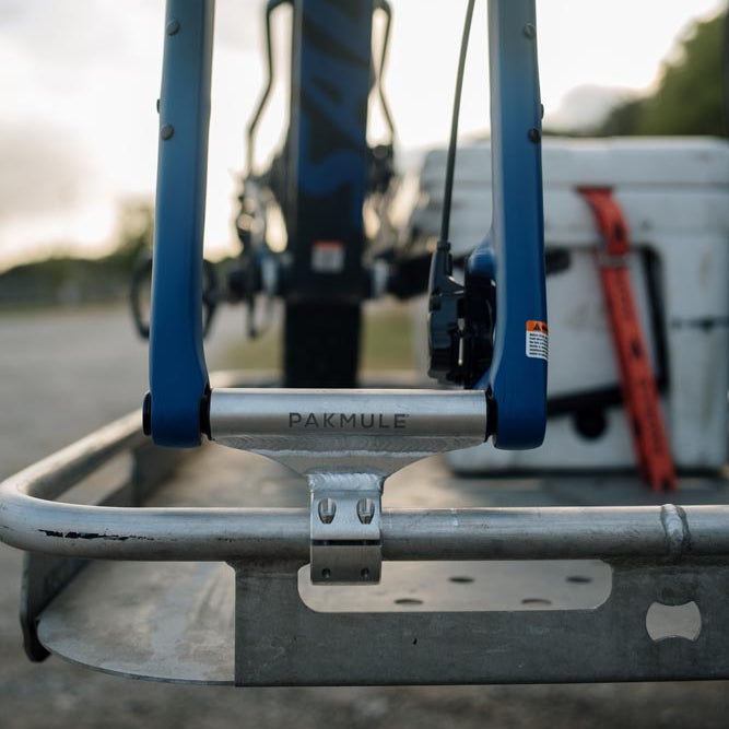 FAT TIRE BIKE BIT