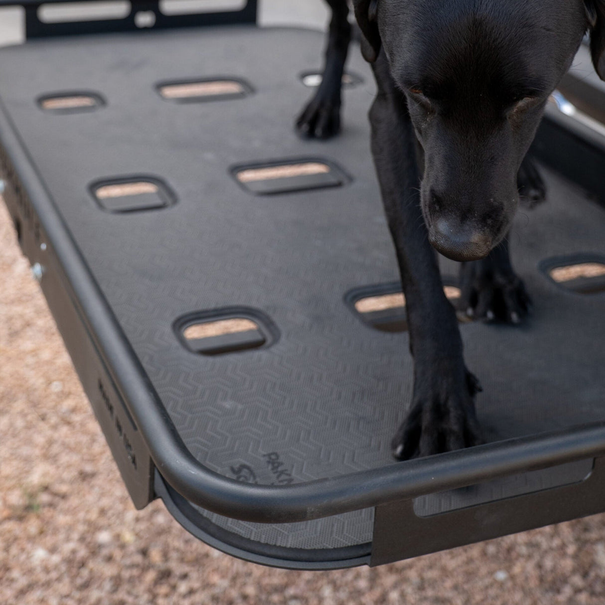 SCOUT Traction Pad