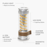 Edison Light Stick